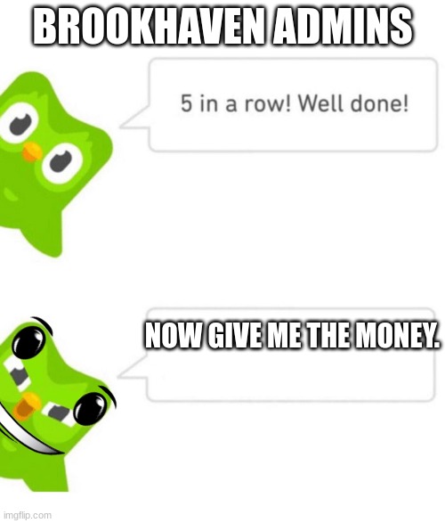 Why. | BROOKHAVEN ADMINS; NOW GIVE ME THE MONEY. | image tagged in duolingo 5 in a row | made w/ Imgflip meme maker