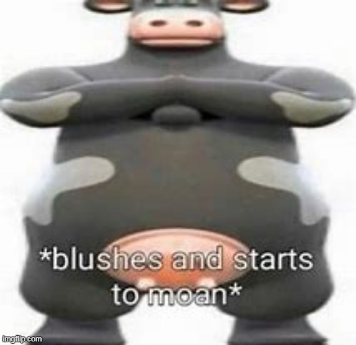blushes and starts to moan | image tagged in blushes and starts to moan | made w/ Imgflip meme maker