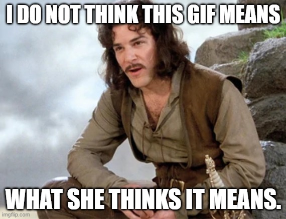 inigo doubts a gif | I DO NOT THINK THIS GIF MEANS; WHAT SHE THINKS IT MEANS. | image tagged in inigo montoya,gif | made w/ Imgflip meme maker