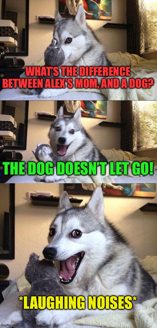 Dogs are loyal | WHAT’S THE DIFFERENCE BETWEEN ALEX’S MOM, AND A DOG? THE DOG DOESN’T LET GO! *LAUGHING NOISES* | image tagged in memes,bad pun dog | made w/ Imgflip meme maker