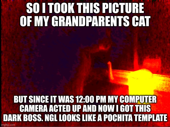 Templates public, search cat with candle | SO I TOOK THIS PICTURE OF MY GRANDPARENTS CAT; BUT SINCE IT WAS 12:00 PM MY COMPUTER CAMERA ACTED UP AND NOW I GOT THIS DARK BOSS. NGL LOOKS LIKE A POCHITA TEMPLATE | image tagged in cat with candle | made w/ Imgflip meme maker