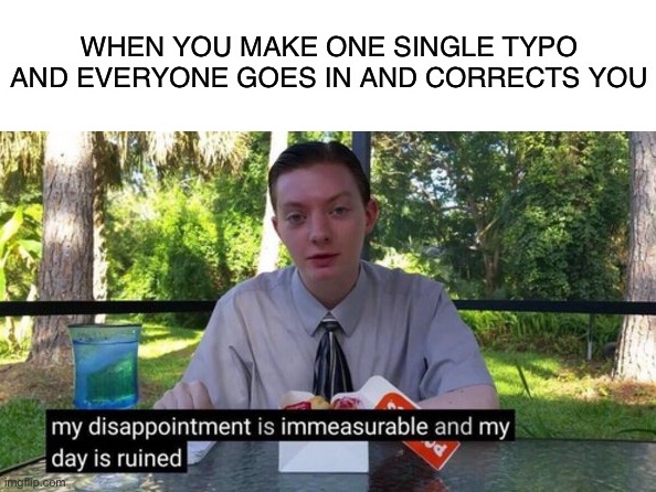 The pain… | WHEN YOU MAKE ONE SINGLE TYPO AND EVERYONE GOES IN AND CORRECTS YOU | image tagged in my day is ruined,memes,funny memes,relatable | made w/ Imgflip meme maker