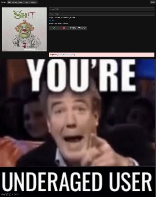 wtf lol | image tagged in you re underage user | made w/ Imgflip meme maker