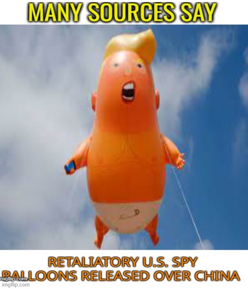 House republicans deny type DT ORANGE BIRD spy balloon released over china | image tagged in donald trump,maga,orange,balloon,funny | made w/ Imgflip meme maker