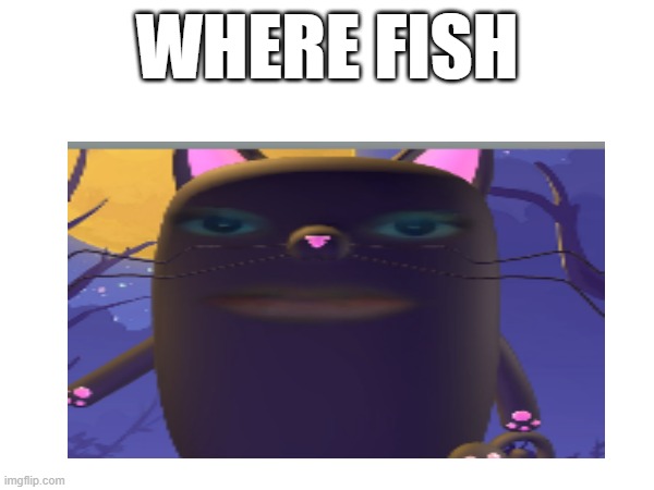 where fish | WHERE FISH | image tagged in fish | made w/ Imgflip meme maker