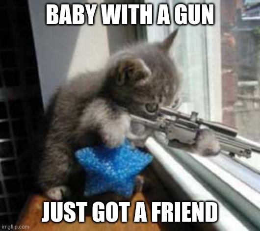 me-ow your gonna pay for that | BABY WITH A GUN; JUST GOT A FRIEND | image tagged in catsniper | made w/ Imgflip meme maker
