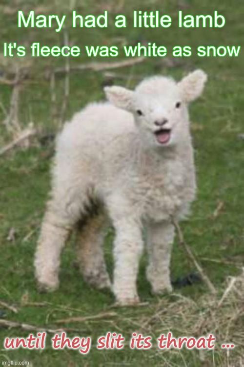A Lovely Children's Poem! ... | Mary had a little lamb; It's fleece was white as snow; until they slit its throat ... | image tagged in laughing lamb,dark humor,stab,rick75230,bloody | made w/ Imgflip meme maker