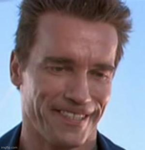 Terminator Smile | image tagged in terminator smile | made w/ Imgflip meme maker