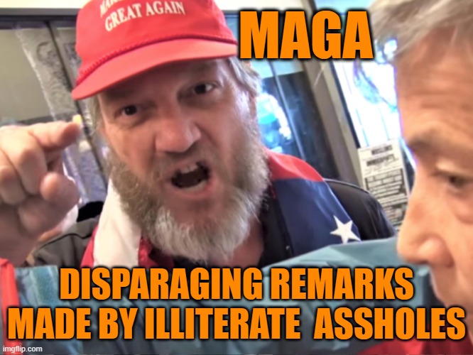 Angry Trump Supporter | MAGA DISPARAGING REMARKS MADE BY ILLITERATE  ASSHOLES | image tagged in angry trump supporter | made w/ Imgflip meme maker