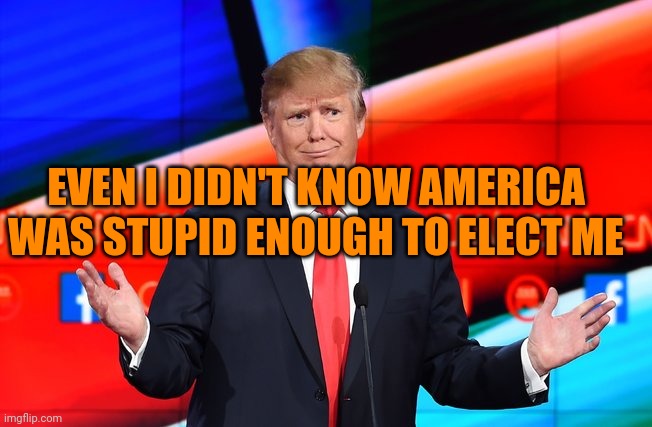 Dumb magats | EVEN I DIDN'T KNOW AMERICA WAS STUPID ENOUGH TO ELECT ME | image tagged in donald trump confused | made w/ Imgflip meme maker