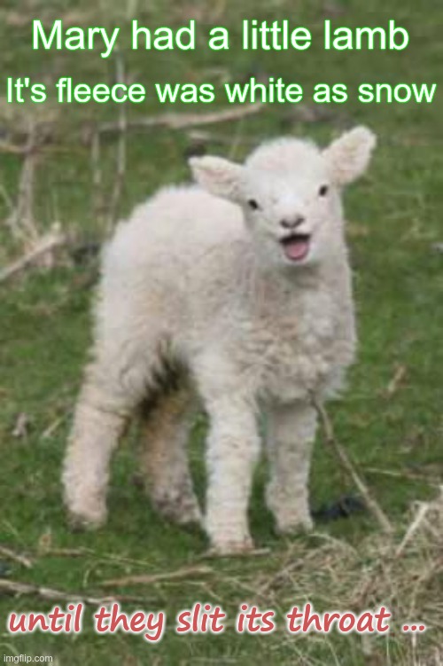 A Lovely Children's Poem! ... | Mary had a little lamb; It's fleece was white as snow; until they slit its throat ... | image tagged in laughing lamb,dark humor,bloody,stab,rick75230 | made w/ Imgflip meme maker
