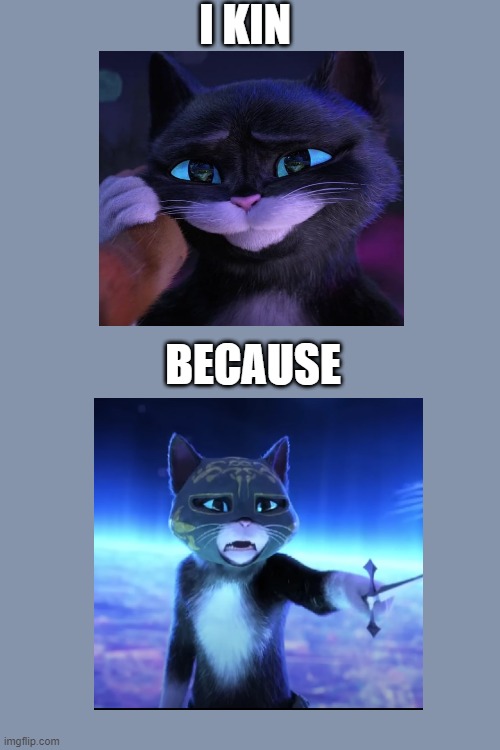 I kin kitty because... | I KIN; BECAUSE | image tagged in depressed cat | made w/ Imgflip meme maker