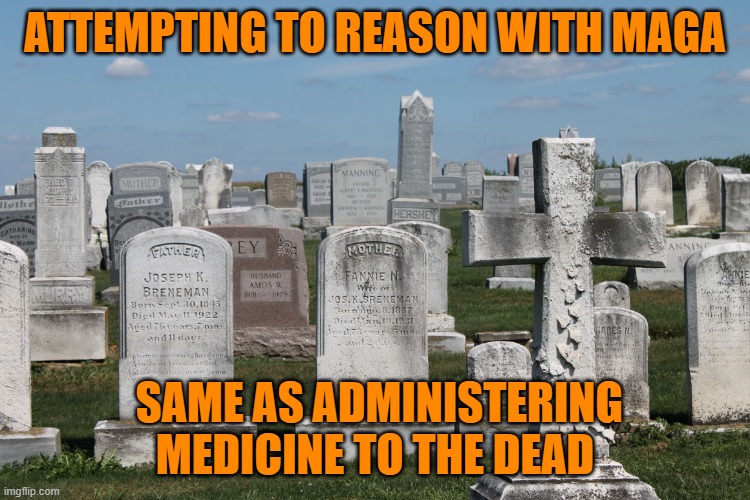 Cemetary | ATTEMPTING TO REASON WITH MAGA SAME AS ADMINISTERING MEDICINE TO THE DEAD | image tagged in cemetary | made w/ Imgflip meme maker