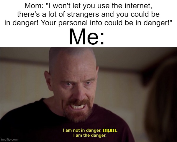 I am the one who leaks people's addresses | Mom: "I won't let you use the internet, there's a lot of strangers and you could be in danger! Your personal info could be in danger!"; Me:; mom. | image tagged in i am not in danger skyler i am the danger,breaking bad,the internet | made w/ Imgflip meme maker