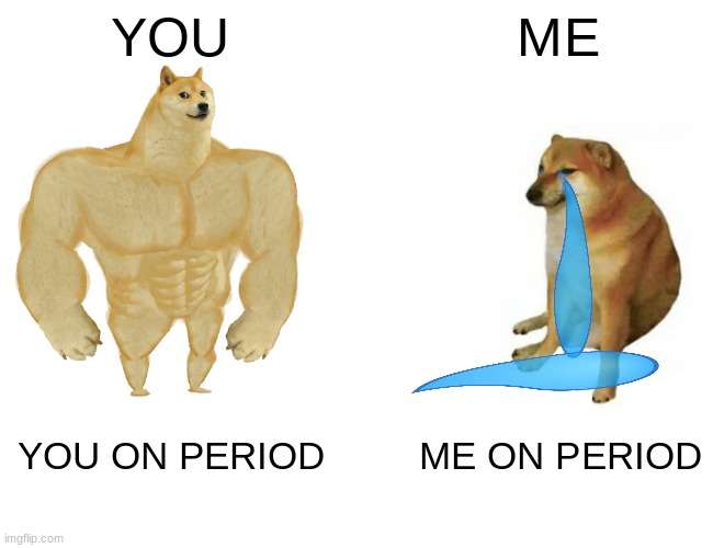 Buff Doge vs. Cheems | YOU; ME; YOU ON PERIOD; ME ON PERIOD | image tagged in memes,buff doge vs cheems | made w/ Imgflip meme maker