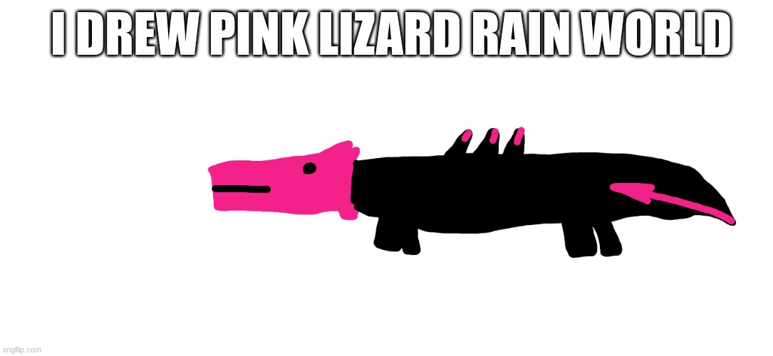 I DREW PINK LIZARD RAIN WORLD | made w/ Imgflip meme maker