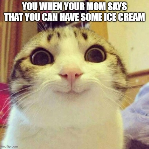 Smiling Cat | YOU WHEN YOUR MOM SAYS THAT YOU CAN HAVE SOME ICE CREAM | image tagged in memes,smiling cat | made w/ Imgflip meme maker