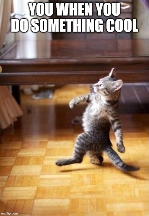 Cool Cat Stroll | YOU WHEN YOU DO SOMETHING COOL | image tagged in memes,cool cat stroll | made w/ Imgflip meme maker