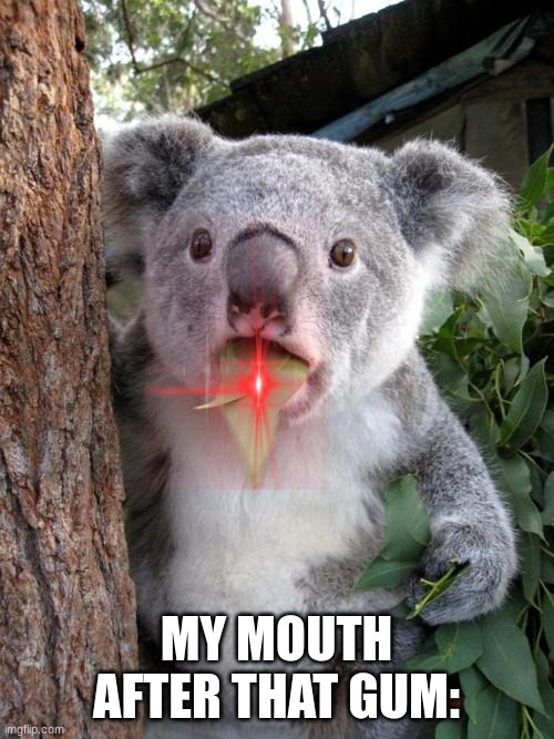 Toothpaste Koala | MY MOUTH AFTER THAT GUM: | image tagged in memes,surprised koala | made w/ Imgflip meme maker