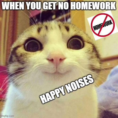 Yall can relate | WHEN YOU GET NO HOMEWORK; HAPPY NOISES | image tagged in memes,smiling cat | made w/ Imgflip meme maker