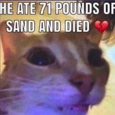 so the limit is 70 | made w/ Imgflip meme maker