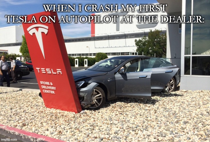 TeslaCrash | WHEN I CRASH MY FIRST TESLA ON AUTOPILOT AT THE DEALER: | image tagged in teslacrash,tesla,crash | made w/ Imgflip meme maker