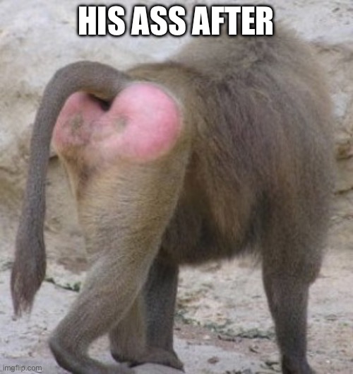 Kiss my ass its friday | HIS ASS AFTER | image tagged in kiss my ass its friday | made w/ Imgflip meme maker