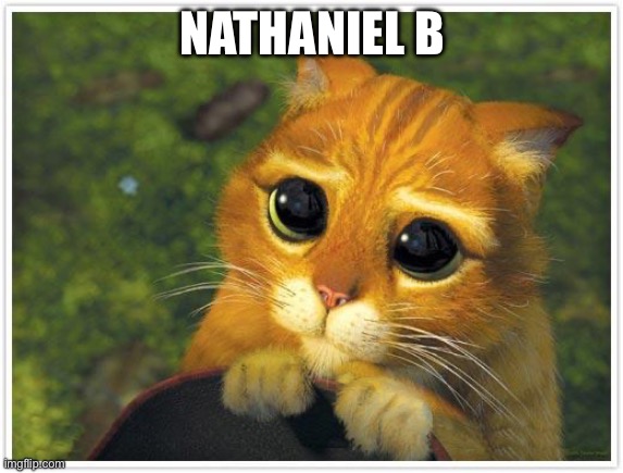 N | NATHANIEL B | image tagged in memes,shrek cat | made w/ Imgflip meme maker