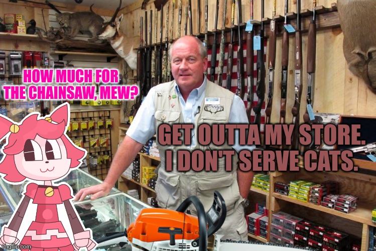 Mew mew goes shopping | HOW MUCH FOR THE CHAINSAW, MEW? GET OUTTA MY STORE. I DON'T SERVE CATS. | image tagged in mad mew mew,undertale,gregs guns,chainsaw | made w/ Imgflip meme maker