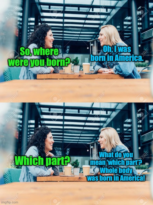Jeez, get it right! | Oh, I was born in America. So, where were you born? What do you mean ‘which part’? Whole body was born in America! Which part? | image tagged in funne | made w/ Imgflip meme maker