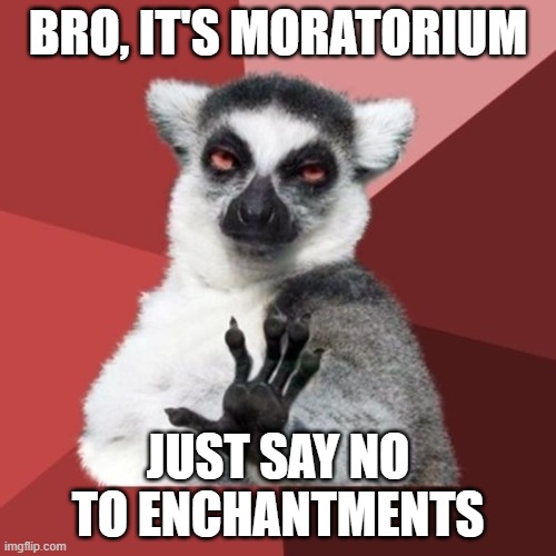 Chill out bro, it's moratorium | BRO, IT'S MORATORIUM; JUST SAY NO TO ENCHANTMENTS | image tagged in memes,chill out lemur,coding,moratorium,programming humor,just say no | made w/ Imgflip meme maker