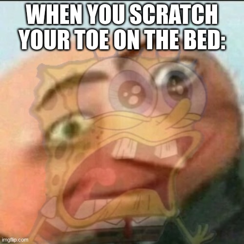 *internal screaming |  WHEN YOU SCRATCH YOUR TOE ON THE BED: | image tagged in pain | made w/ Imgflip meme maker