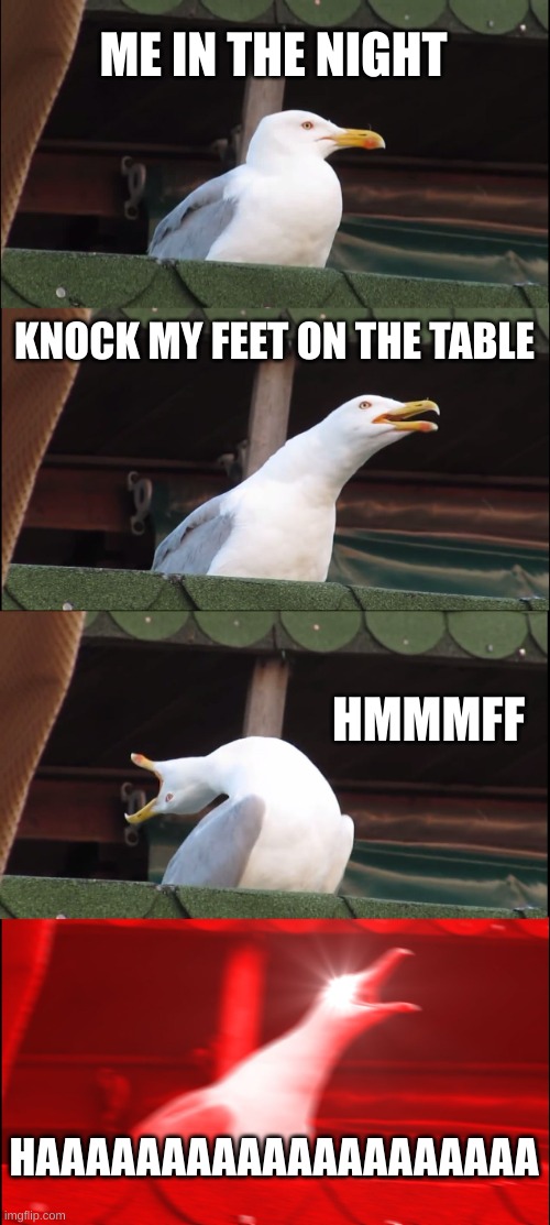 It hurts | ME IN THE NIGHT; KNOCK MY FEET ON THE TABLE; HMMMFF; HAAAAAAAAAAAAAAAAAAAA | image tagged in memes,inhaling seagull | made w/ Imgflip meme maker