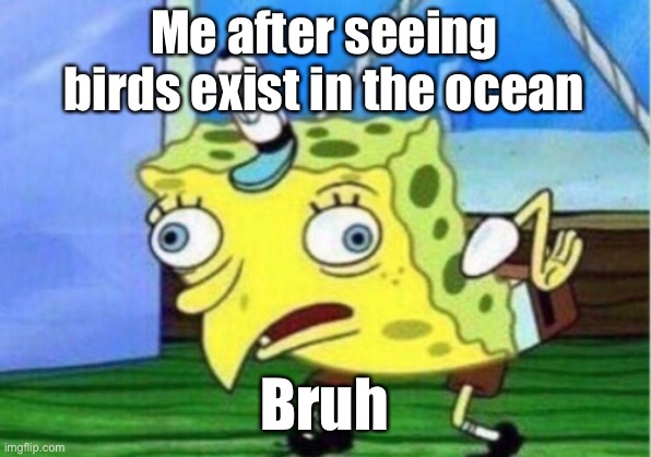 Mocking Spongebob Meme | Me after seeing birds exist in the ocean; Bruh | image tagged in memes,mocking spongebob | made w/ Imgflip meme maker