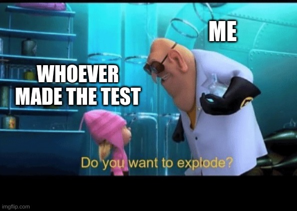Do you want to explode | ME WHOEVER MADE THE TEST | image tagged in do you want to explode | made w/ Imgflip meme maker