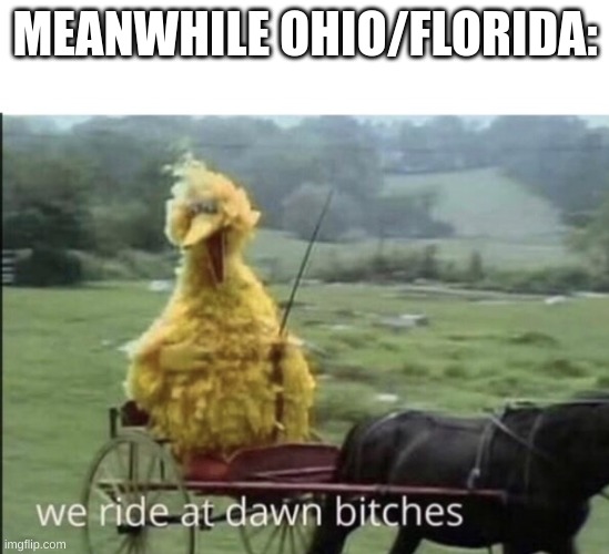 no context | MEANWHILE OHIO/FLORIDA: | image tagged in we ride at dawn bitches | made w/ Imgflip meme maker