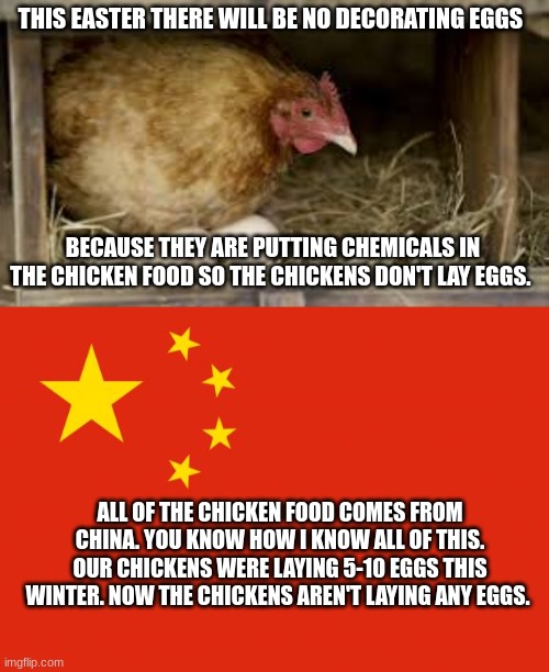 Here's the truth about the prices of eggs Ya'll | THIS EASTER THERE WILL BE NO DECORATING EGGS; BECAUSE THEY ARE PUTTING CHEMICALS IN THE CHICKEN FOOD SO THE CHICKENS DON'T LAY EGGS. ALL OF THE CHICKEN FOOD COMES FROM CHINA. YOU KNOW HOW I KNOW ALL OF THIS. OUR CHICKENS WERE LAYING 5-10 EGGS THIS WINTER. NOW THE CHICKENS AREN'T LAYING ANY EGGS. | image tagged in chicken with eggs,china flag | made w/ Imgflip meme maker