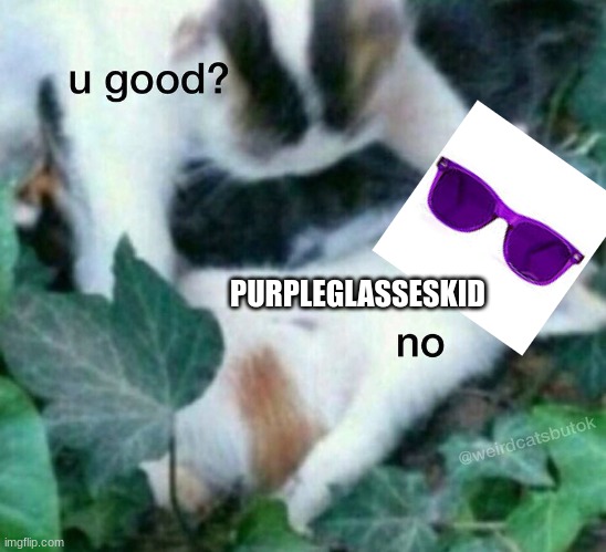 u good? no | PURPLEGLASSESKID | image tagged in u good no | made w/ Imgflip meme maker