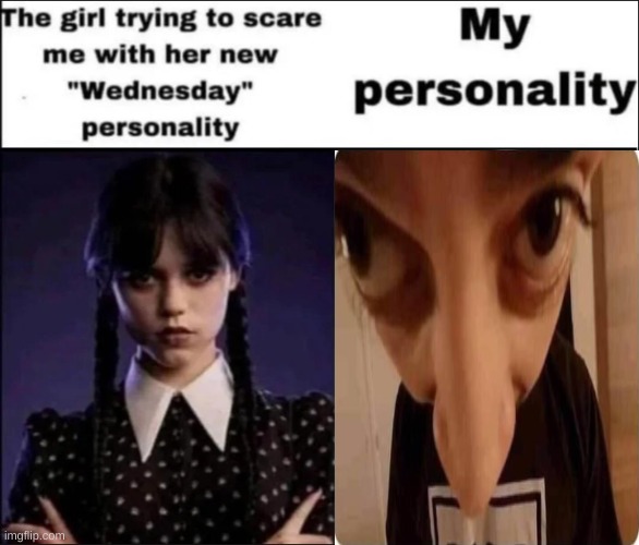 The girl trying to scare me with her new Wednesday personality | image tagged in the girl trying to scare me with her new wednesday personality | made w/ Imgflip meme maker