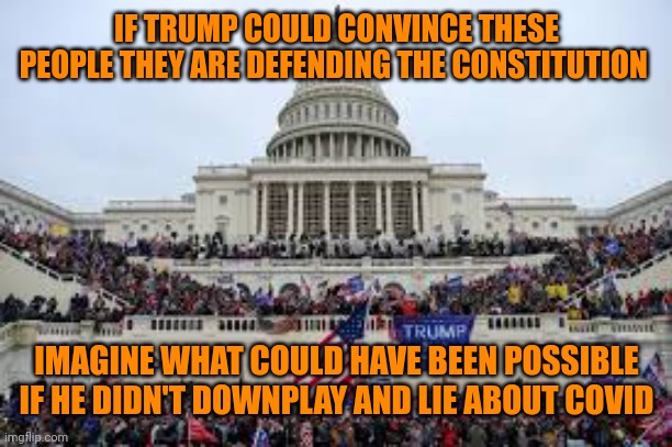 Lying diaper donnie | IF TRUMP COULD CONVINCE THESE PEOPLE THEY ARE DEFENDING THE CONSTITUTION; IMAGINE WHAT COULD HAVE BEEN POSSIBLE IF HE DIDN'T DOWNPLAY AND LIE ABOUT COVID | image tagged in capitol on january 6 | made w/ Imgflip meme maker