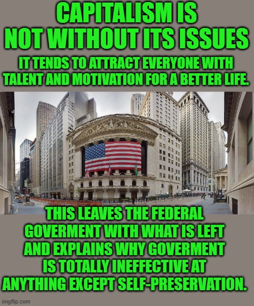 yep | CAPITALISM IS NOT WITHOUT ITS ISSUES; IT TENDS TO ATTRACT EVERYONE WITH TALENT AND MOTIVATION FOR A BETTER LIFE. THIS LEAVES THE FEDERAL GOVERMENT WITH WHAT IS LEFT AND EXPLAINS WHY GOVERMENT IS TOTALLY INEFFECTIVE AT ANYTHING EXCEPT SELF-PRESERVATION. | made w/ Imgflip meme maker