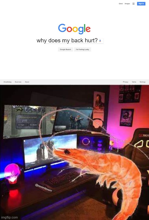 why does my back hurt? | image tagged in google search meme | made w/ Imgflip meme maker