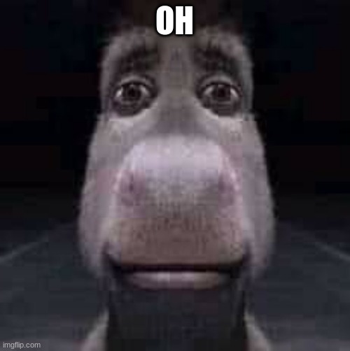 Donkey staring | OH | image tagged in donkey staring | made w/ Imgflip meme maker