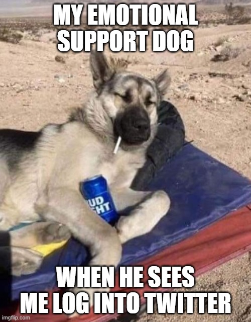 stress | MY EMOTIONAL SUPPORT DOG; WHEN HE SEES ME LOG INTO TWITTER | image tagged in dogs,emotional damage | made w/ Imgflip meme maker