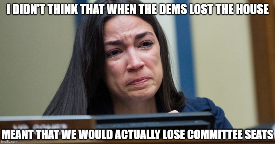 AOC CRYING | I DIDN'T THINK THAT WHEN THE DEMS LOST THE HOUSE; MEANT THAT WE WOULD ACTUALLY LOSE COMMITTEE SEATS | image tagged in aoc crying | made w/ Imgflip meme maker