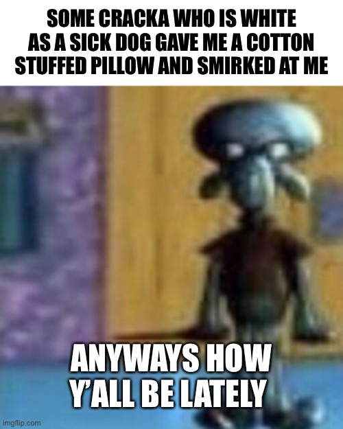 N word | SOME CRACKA WHO IS WHITE AS A SICK DOG GAVE ME A COTTON STUFFED PILLOW AND SMIRKED AT ME; ANYWAYS HOW Y’ALL BE LATELY | image tagged in n word | made w/ Imgflip meme maker