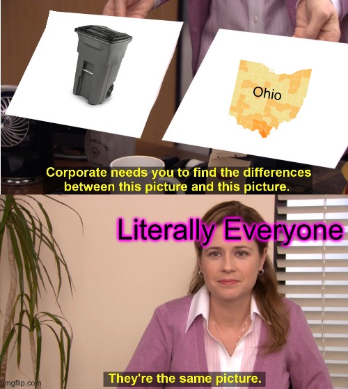 They're The Same Picture | Ohio; Literally Everyone | image tagged in memes,they're the same picture | made w/ Imgflip meme maker