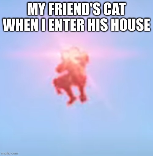 Dis cat be satan in fur | MY FRIEND'S CAT WHEN I ENTER HIS HOUSE | image tagged in woke spartan - therussianbadger,cat,attack | made w/ Imgflip meme maker