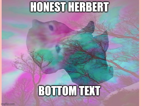 Kat | HONEST HERBERT; BOTTOM TEXT | image tagged in stop it get some help,herbert | made w/ Imgflip meme maker