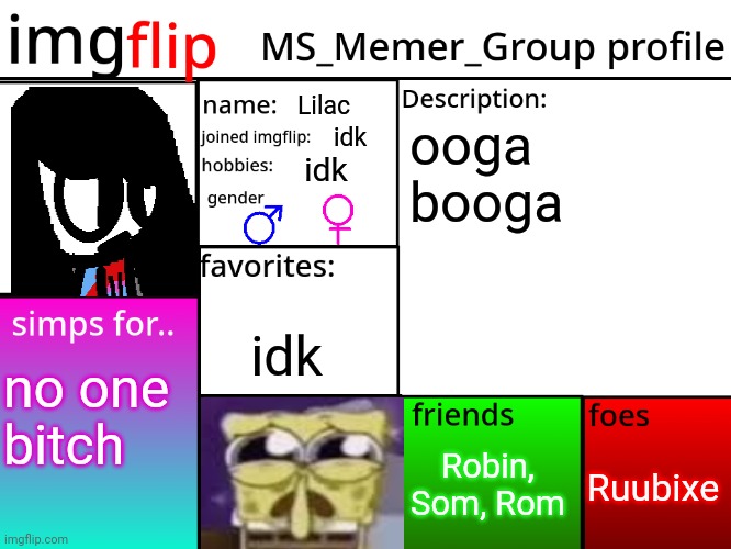 So my cousin, Lilac, made this | Lilac; ooga booga; idk; idk; idk; no one
bitch; Ruubixe; Robin, Som, Rom | image tagged in msmg profile | made w/ Imgflip meme maker